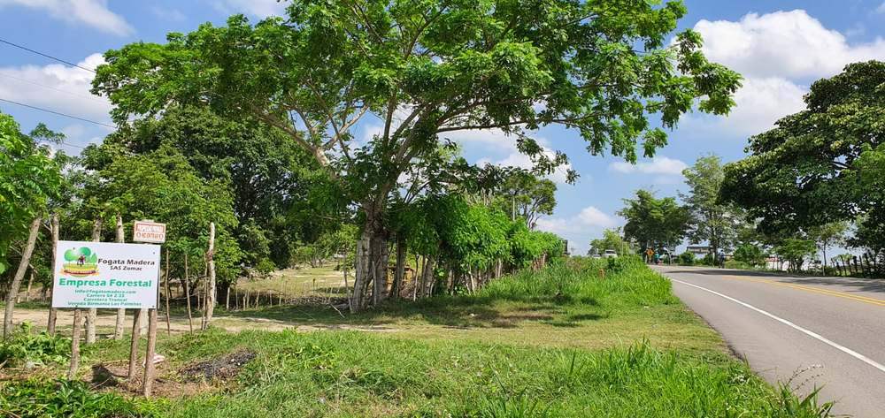 Entrada de Fogata Madera — vereda Birmania, Los Palmitos